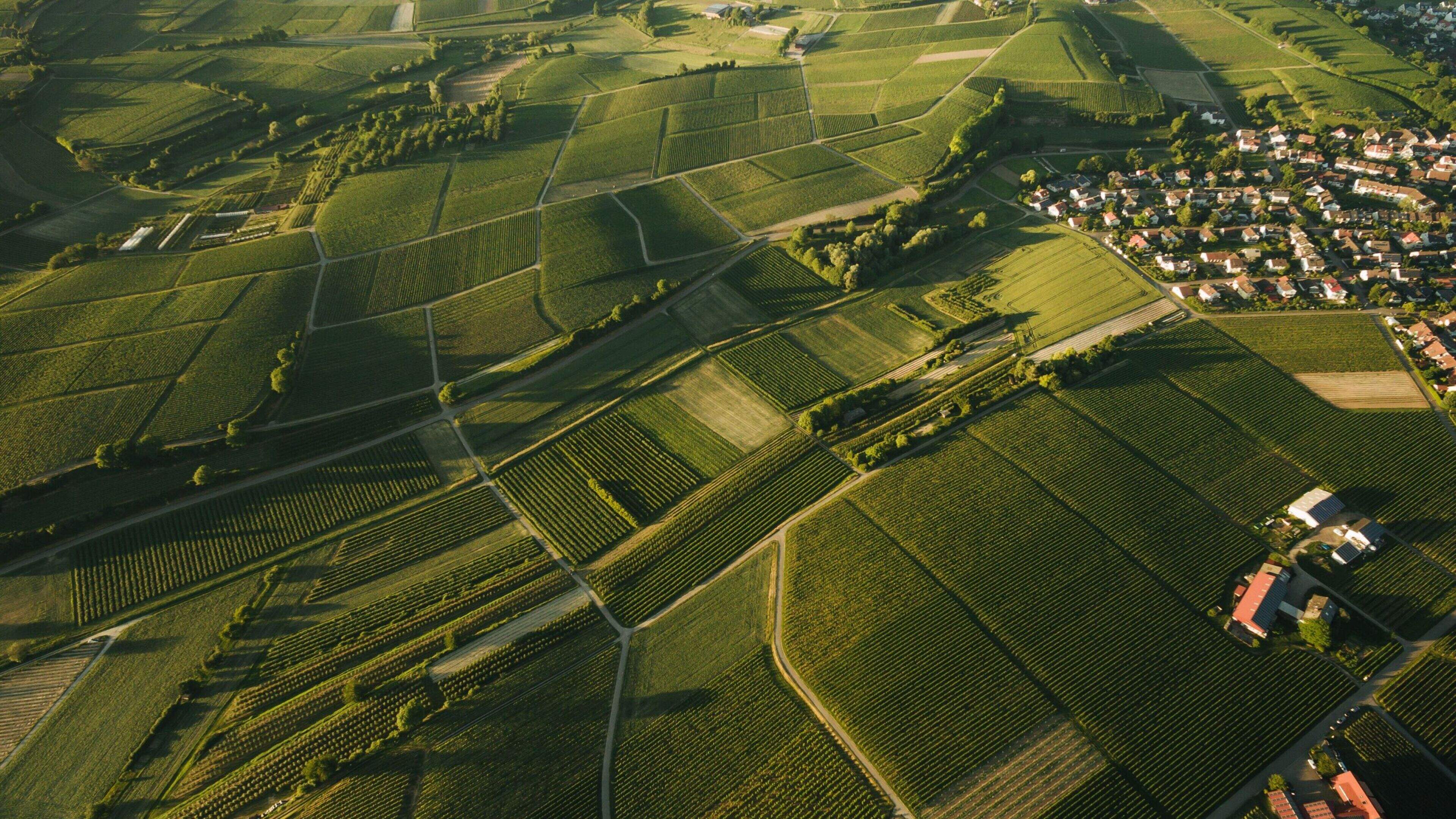 Committee urges review of zoned land tax amid fears of ‘unintended consequences’ for farmers